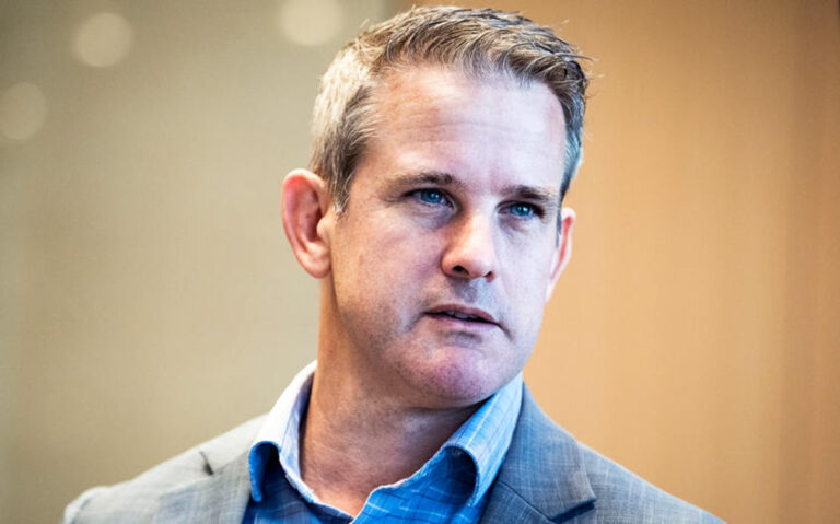 Adam Kinzinger’s Wife Sofia Boza-Holman And Their Modern Political Love Story