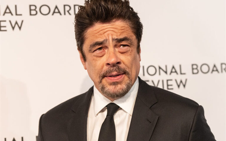 benicio del toro wife